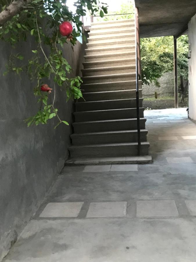 Guesthouse "Kistauri" Telavi Bagian luar foto
