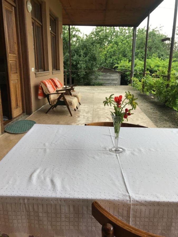 Guesthouse "Kistauri" Telavi Bagian luar foto