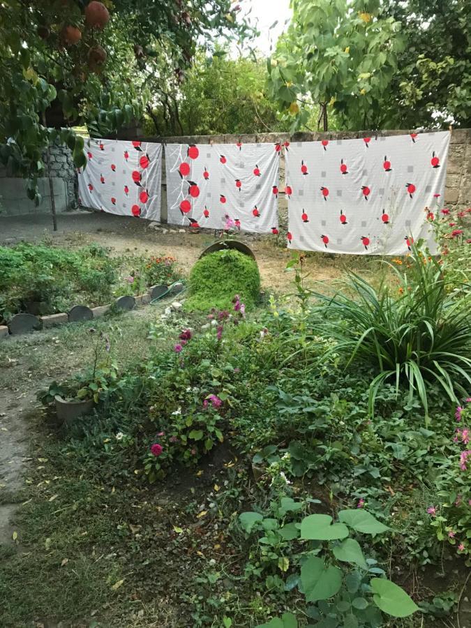 Guesthouse "Kistauri" Telavi Bagian luar foto