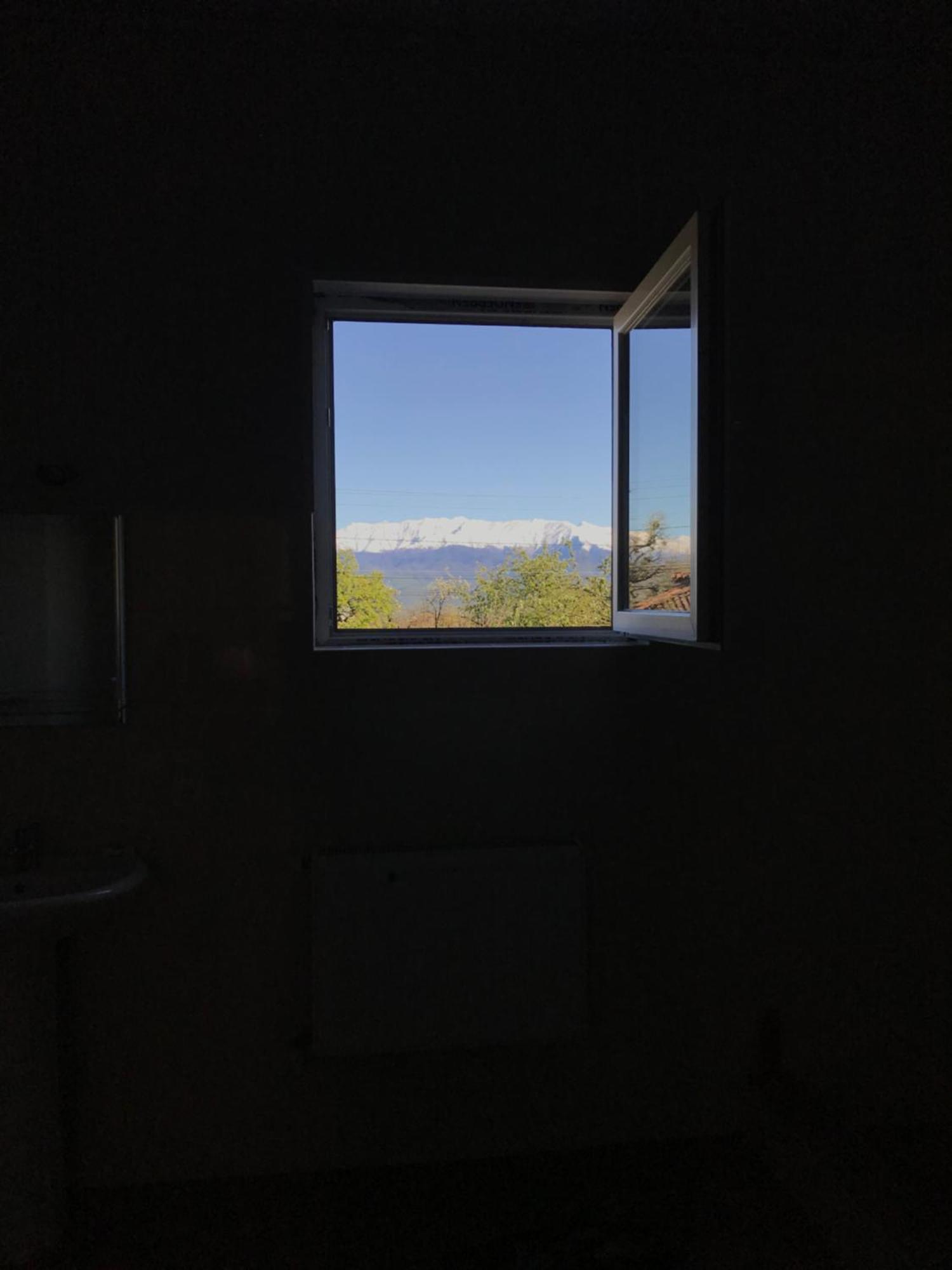 Guesthouse "Kistauri" Telavi Bagian luar foto