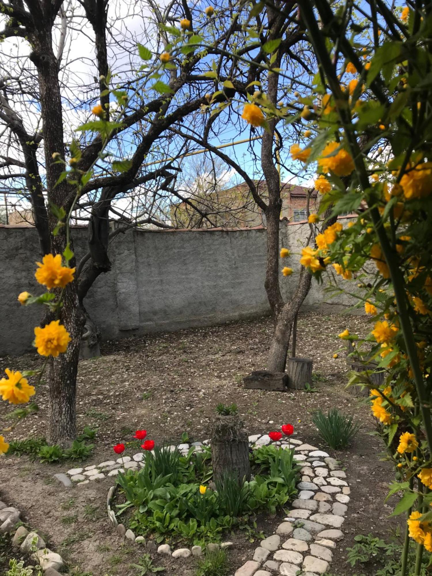 Guesthouse "Kistauri" Telavi Bagian luar foto
