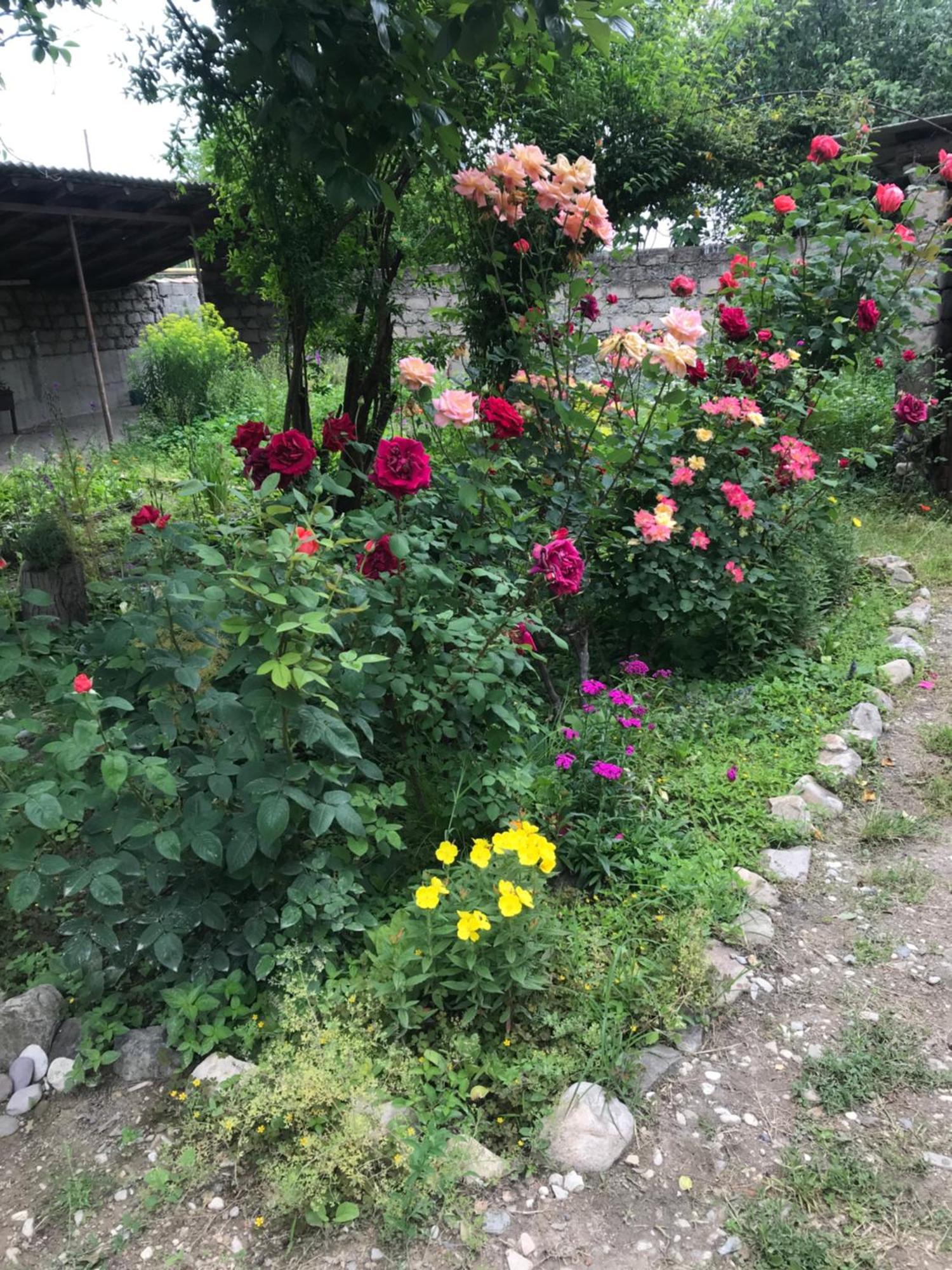 Guesthouse "Kistauri" Telavi Bagian luar foto