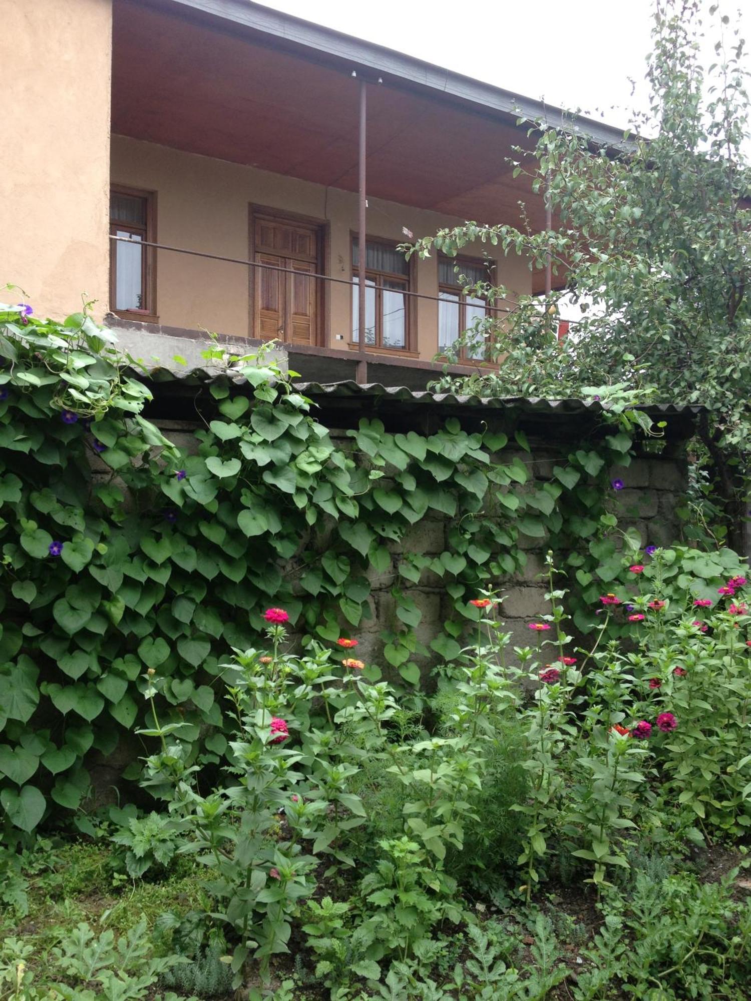 Guesthouse "Kistauri" Telavi Bagian luar foto