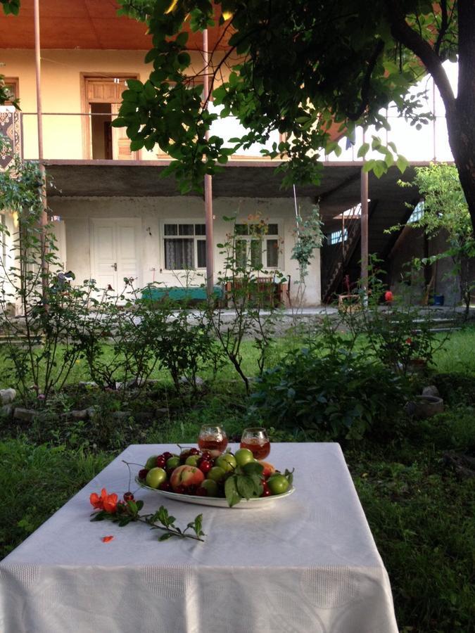 Guesthouse "Kistauri" Telavi Bagian luar foto